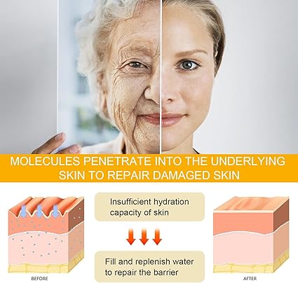 Eelhoe – Ginseng & Niacinamide Anti-Wrinkle Essence (Original)